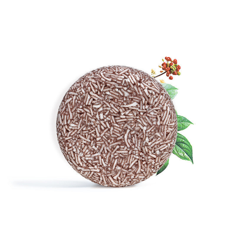 Shampooing Solide Naturel Anti-Chute et Anti-Cheveux Blancs
