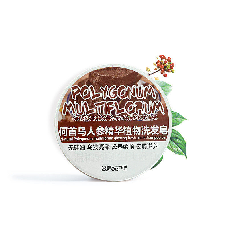 Shampooing Solide Naturel Anti-Chute et Anti-Cheveux Blancs