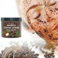 Gommage corporel au café Gommage exfoliant  Éclat caféine